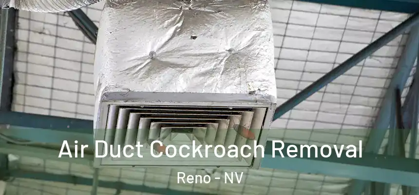 Air Duct Cockroach Removal Reno - NV