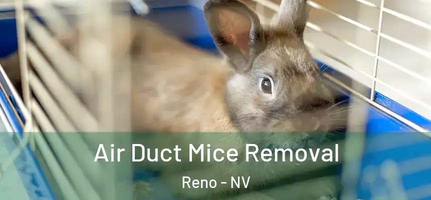 Air Duct Mice Removal Reno - NV
