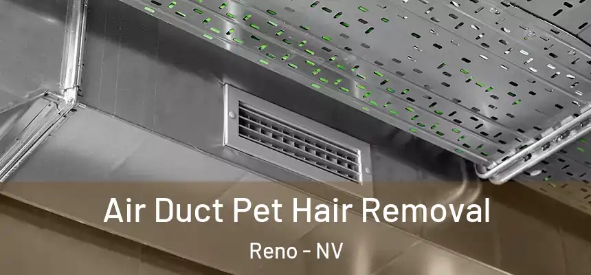 Air Duct Pet Hair Removal Reno - NV