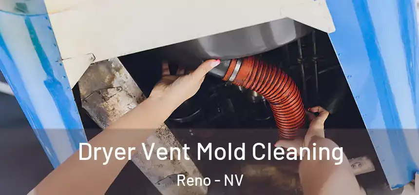 Dryer Vent Mold Cleaning Reno - NV