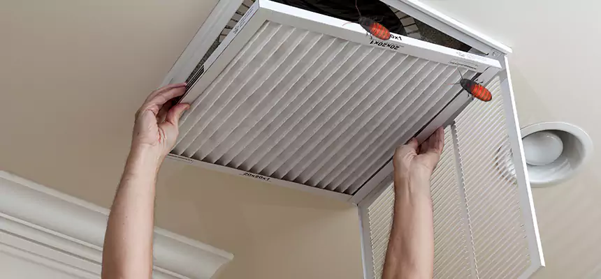 Preventive Cockroach-Proofing for Ducts in Reno