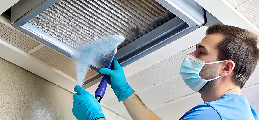 Proactive Dryer Vent & Auxiliary Duct Pollen Cleanup in Reno, NV