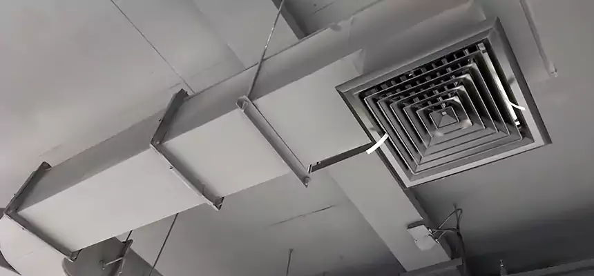 Restorative Allergy Relief Vent Cleaning – Coil, Blower & Housing Detail in Reno