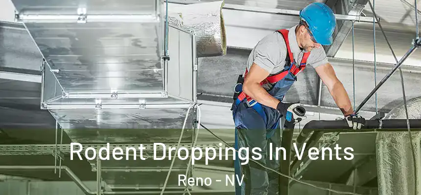 Rodent Droppings In Vents Reno - NV