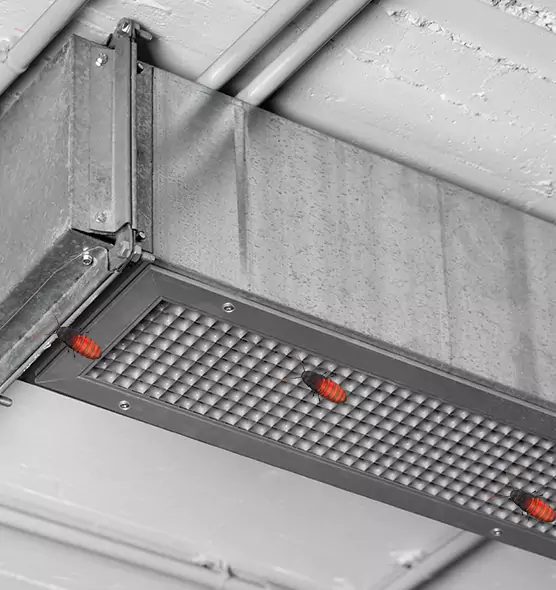 About Air Duct Cockroach Removal in Reno, NV
