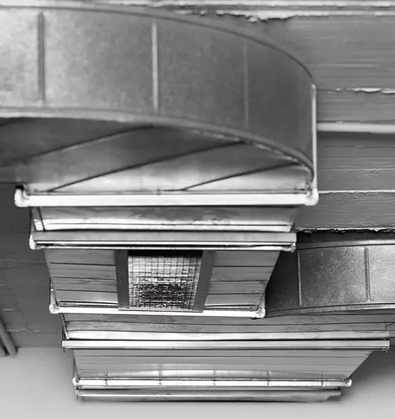 Professional Air Duct Pet Hair Removal in Reno, NV