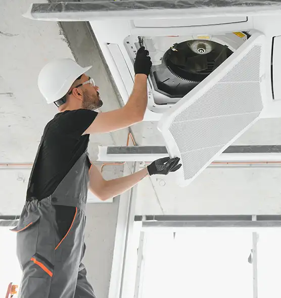 About Air Duct Rodent Removal in Reno, NV