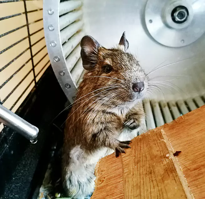 Why Homeowners & Businesses Trust Us Reno, NV