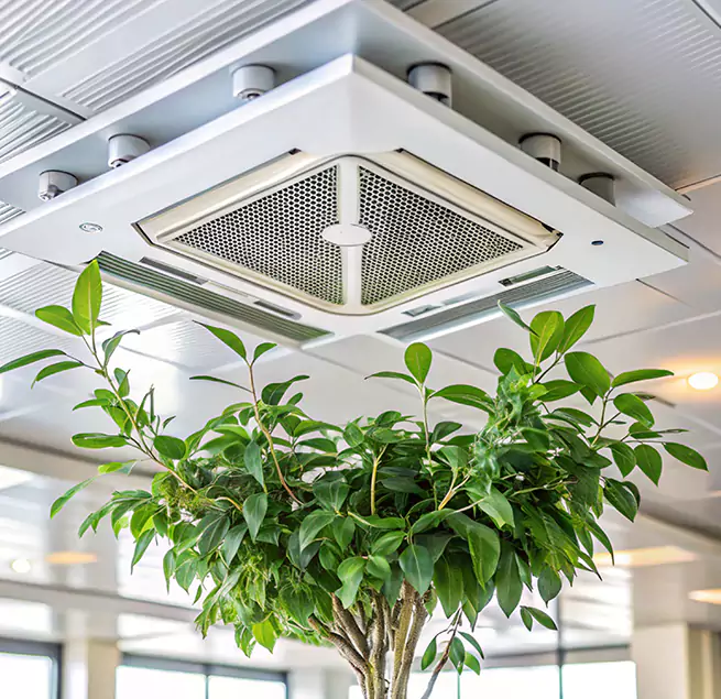 Why Homeowners & Businesses Trust Us in Reno, NV?