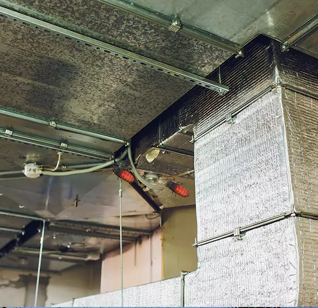 Why Homeowners & Businesses Trust Us Reno, NV?